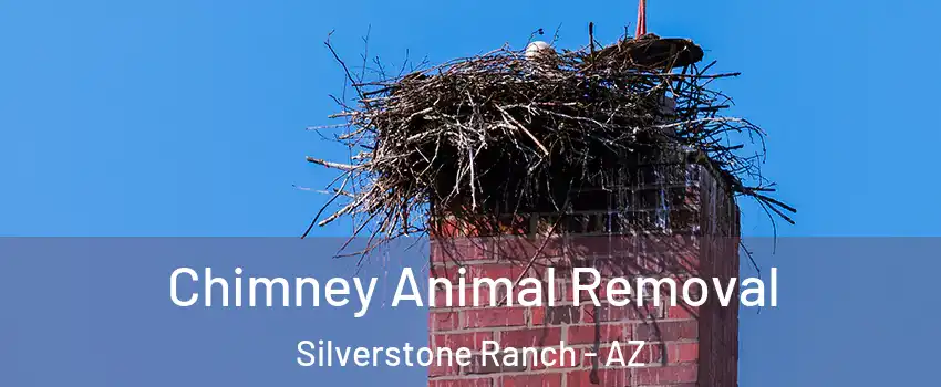 Chimney Animal Removal Silverstone Ranch - AZ