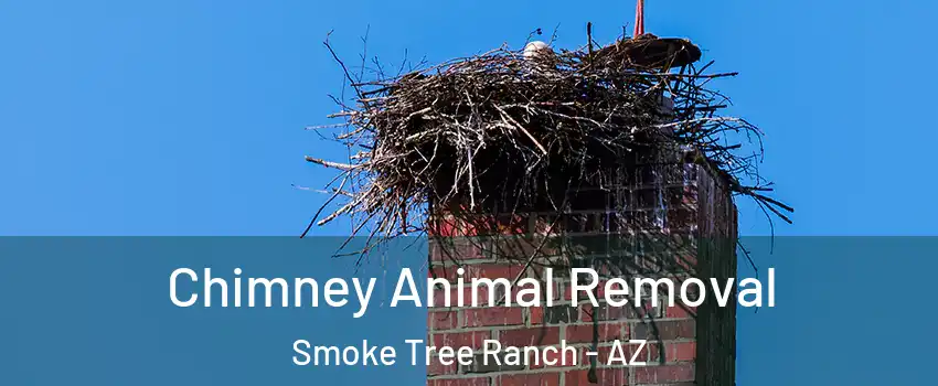 Chimney Animal Removal Smoke Tree Ranch - AZ