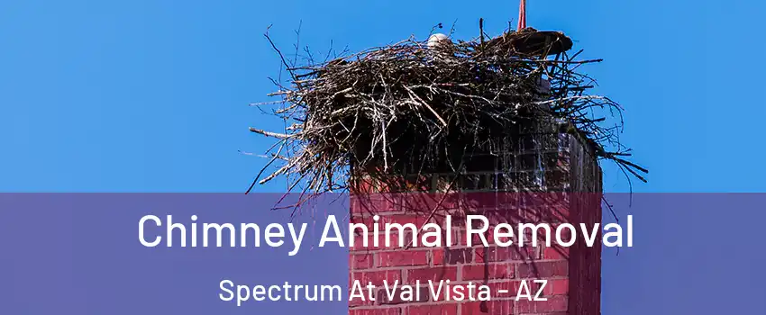 Chimney Animal Removal Spectrum At Val Vista - AZ