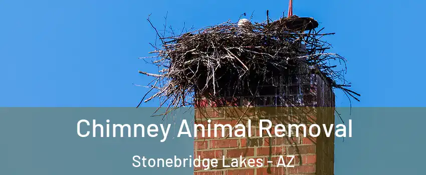 Chimney Animal Removal Stonebridge Lakes - AZ