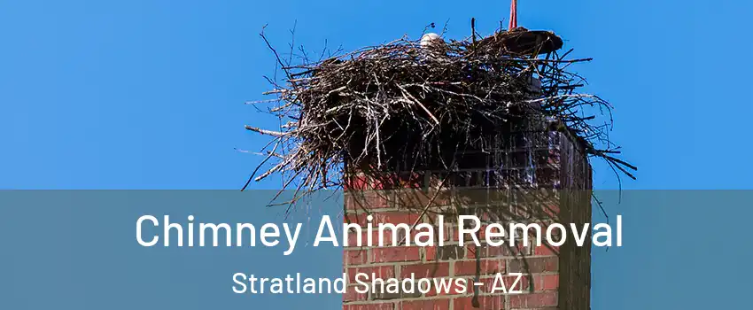 Chimney Animal Removal Stratland Shadows - AZ