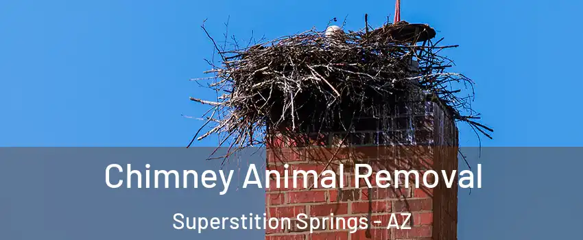 Chimney Animal Removal Superstition Springs - AZ