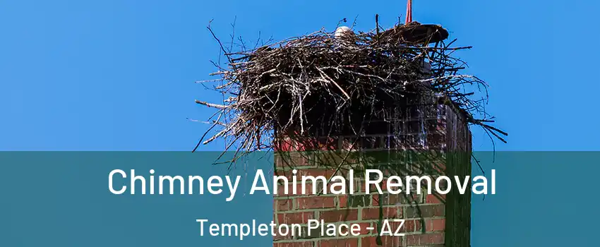 Chimney Animal Removal Templeton Place - AZ