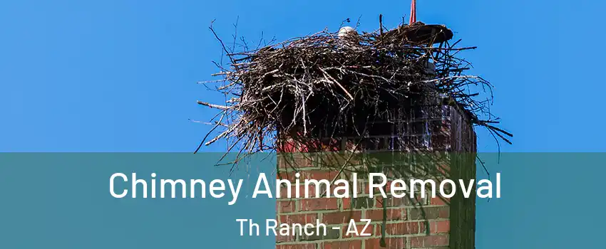 Chimney Animal Removal Th Ranch - AZ