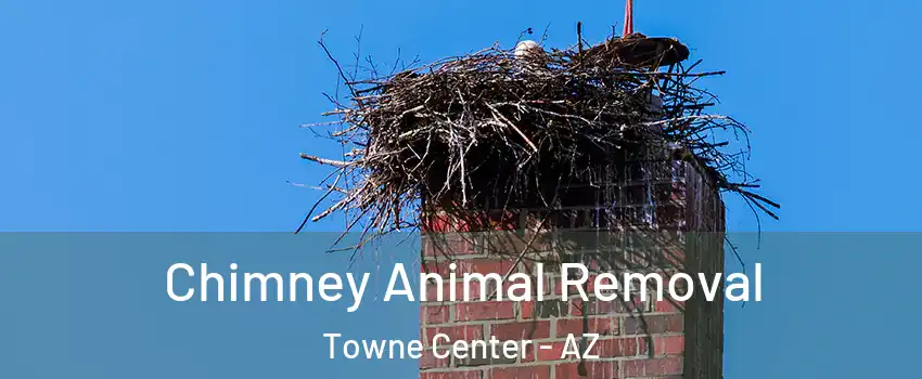 Chimney Animal Removal Towne Center - AZ
