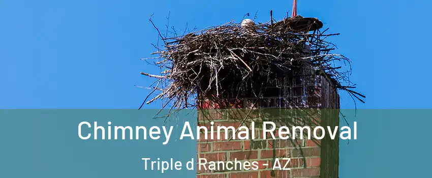 Chimney Animal Removal Triple d Ranches - AZ