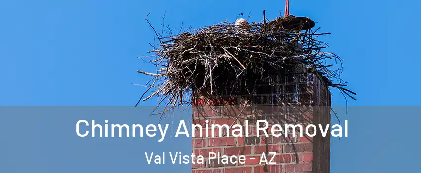 Chimney Animal Removal Val Vista Place - AZ