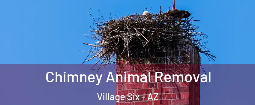 Chimney Animal Removal Village Six - AZ