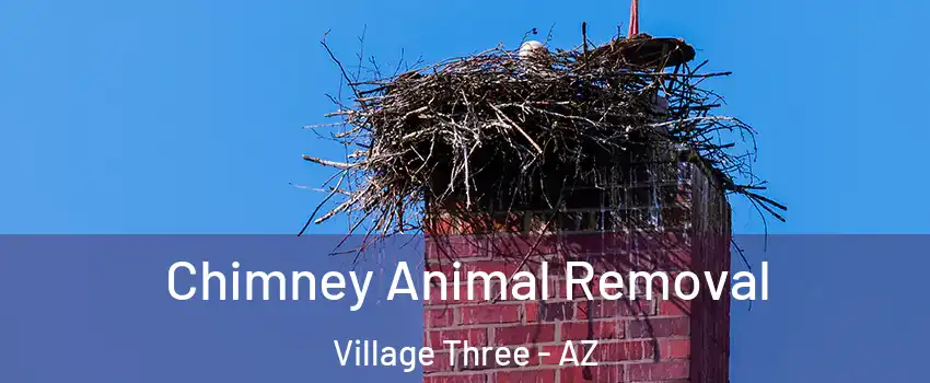 Chimney Animal Removal Village Three - AZ
