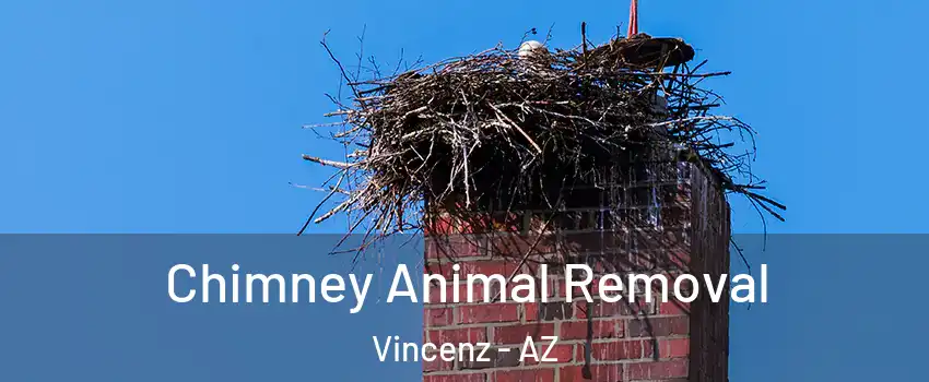Chimney Animal Removal Vincenz - AZ