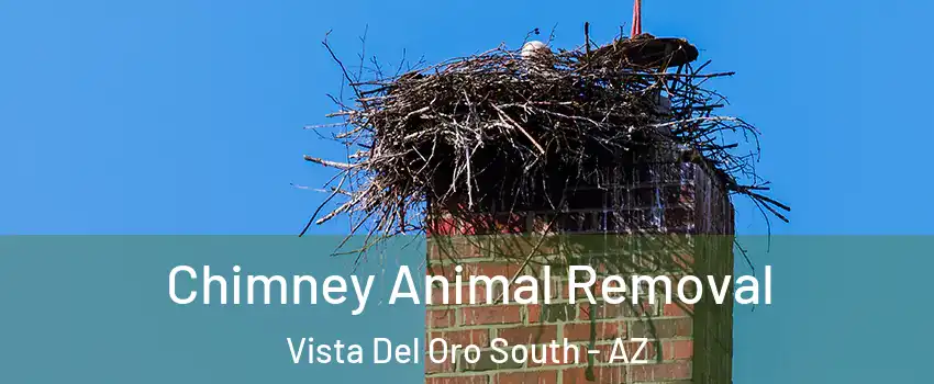 Chimney Animal Removal Vista Del Oro South - AZ