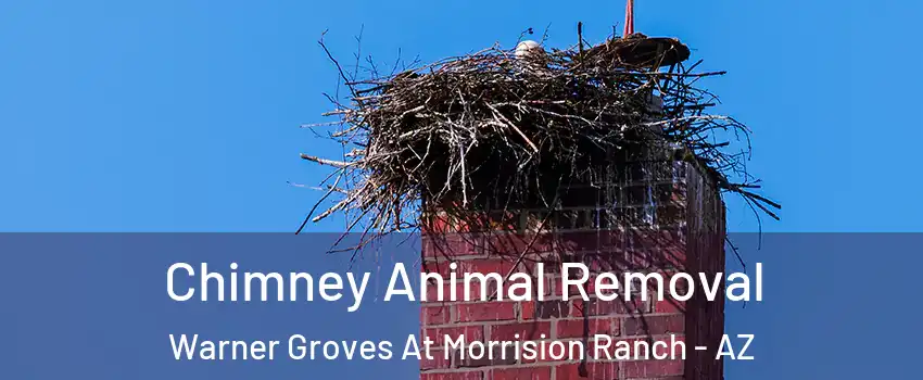 Chimney Animal Removal Warner Groves At Morrision Ranch - AZ