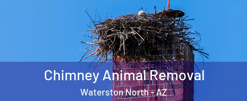 Chimney Animal Removal Waterston North - AZ