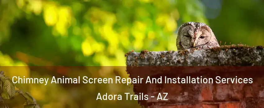 Chimney Animal Screen Repair And Installation Services Adora Trails - AZ