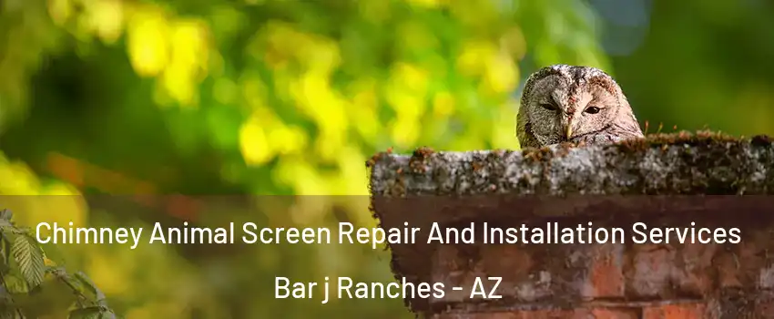 Chimney Animal Screen Repair And Installation Services Bar j Ranches - AZ