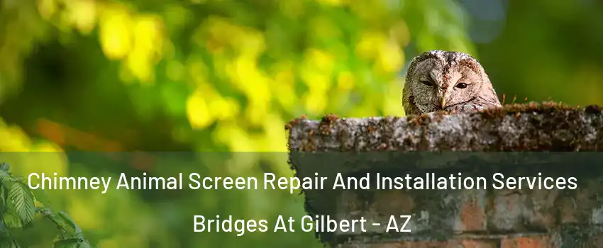 Chimney Animal Screen Repair And Installation Services Bridges At Gilbert - AZ