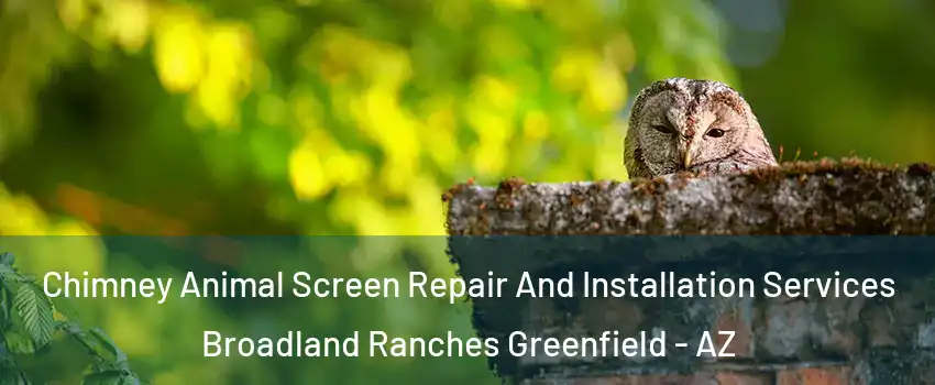 Chimney Animal Screen Repair And Installation Services Broadland Ranches Greenfield - AZ