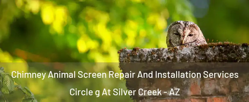Chimney Animal Screen Repair And Installation Services Circle g At Silver Creek - AZ
