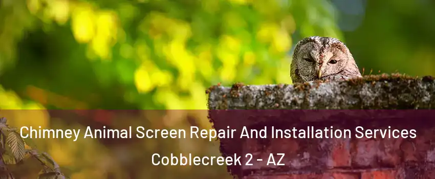 Chimney Animal Screen Repair And Installation Services Cobblecreek 2 - AZ