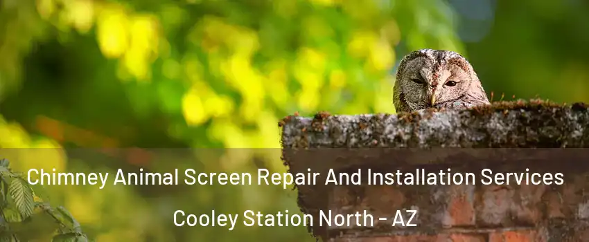 Chimney Animal Screen Repair And Installation Services Cooley Station North - AZ
