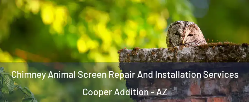 Chimney Animal Screen Repair And Installation Services Cooper Addition - AZ