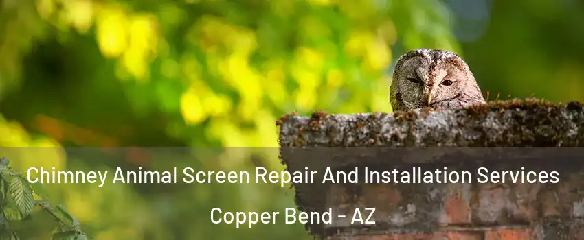 Chimney Animal Screen Repair And Installation Services Copper Bend - AZ