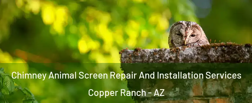 Chimney Animal Screen Repair And Installation Services Copper Ranch - AZ
