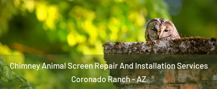 Chimney Animal Screen Repair And Installation Services Coronado Ranch - AZ