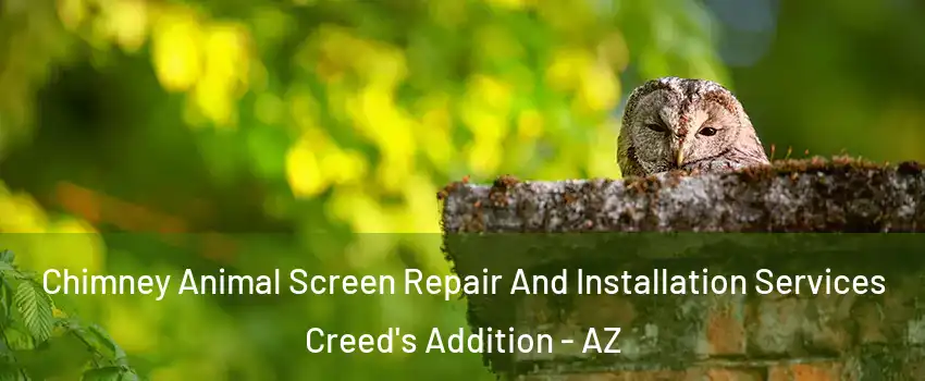 Chimney Animal Screen Repair And Installation Services Creed's Addition - AZ
