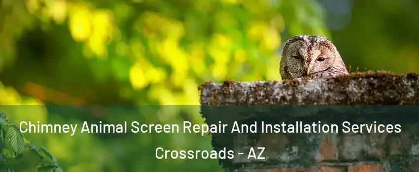 Chimney Animal Screen Repair And Installation Services Crossroads - AZ