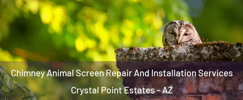 Chimney Animal Screen Repair And Installation Services Crystal Point Estates - AZ
