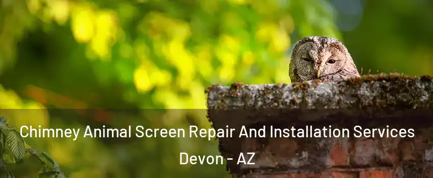 Chimney Animal Screen Repair And Installation Services Devon - AZ