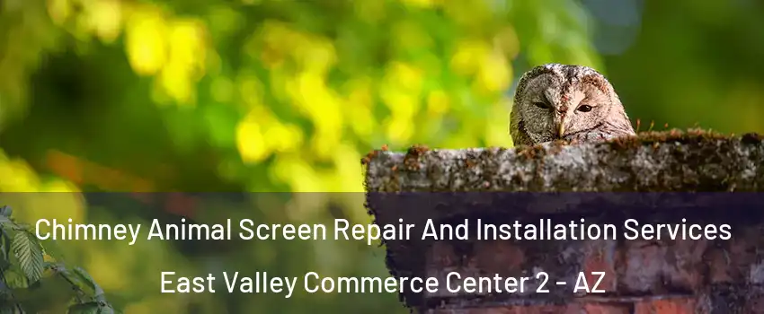 Chimney Animal Screen Repair And Installation Services East Valley Commerce Center 2 - AZ