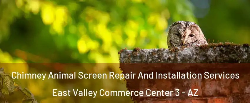 Chimney Animal Screen Repair And Installation Services East Valley Commerce Center 3 - AZ
