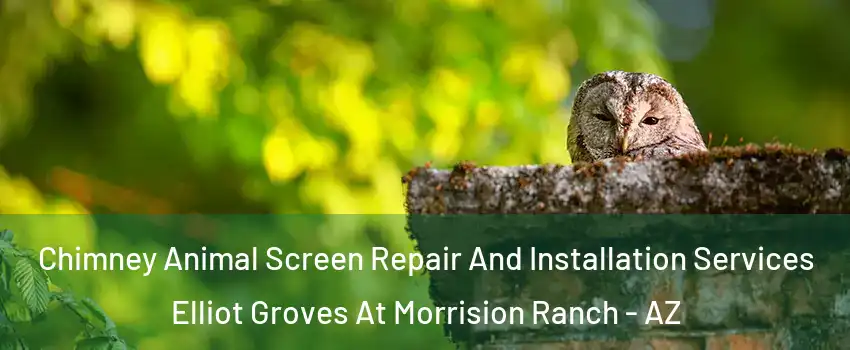 Chimney Animal Screen Repair And Installation Services Elliot Groves At Morrision Ranch - AZ