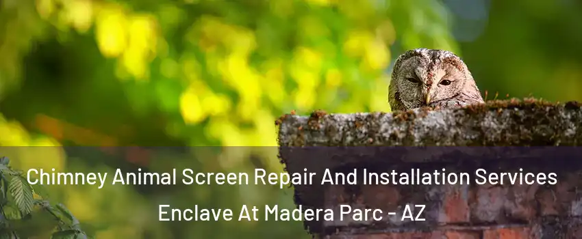 Chimney Animal Screen Repair And Installation Services Enclave At Madera Parc - AZ
