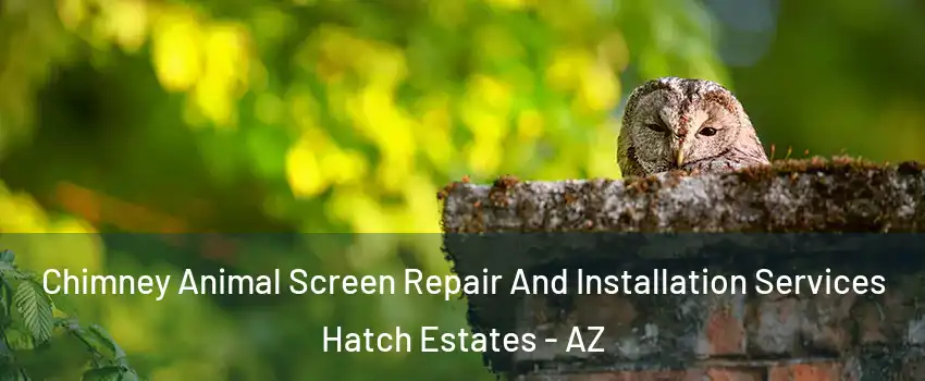 Chimney Animal Screen Repair And Installation Services Hatch Estates - AZ