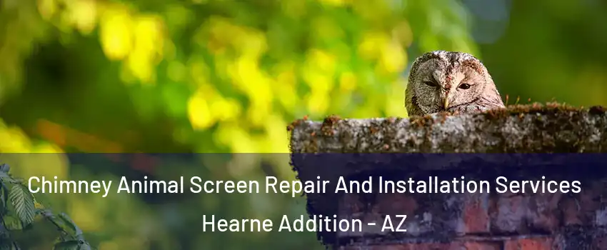 Chimney Animal Screen Repair And Installation Services Hearne Addition - AZ