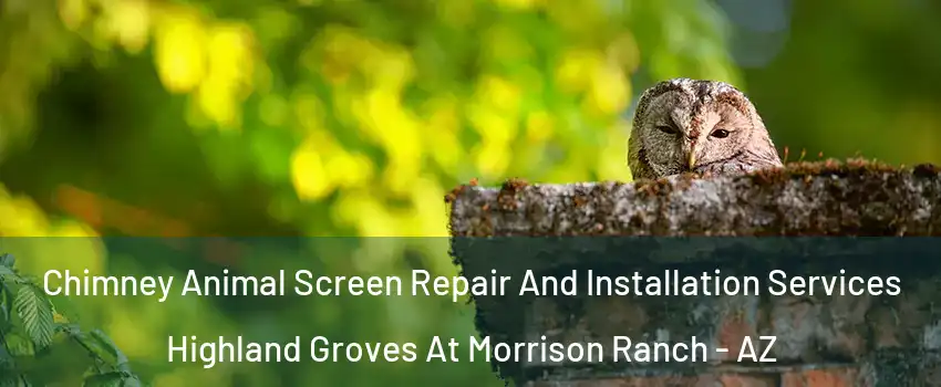 Chimney Animal Screen Repair And Installation Services Highland Groves At Morrison Ranch - AZ