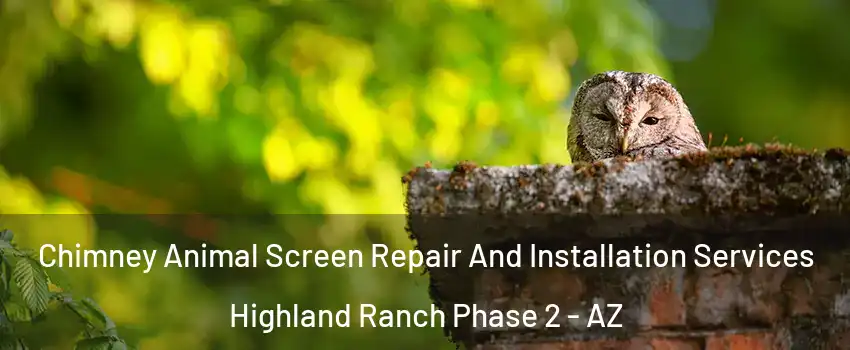 Chimney Animal Screen Repair And Installation Services Highland Ranch Phase 2 - AZ