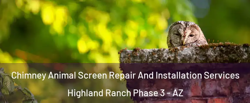 Chimney Animal Screen Repair And Installation Services Highland Ranch Phase 3 - AZ
