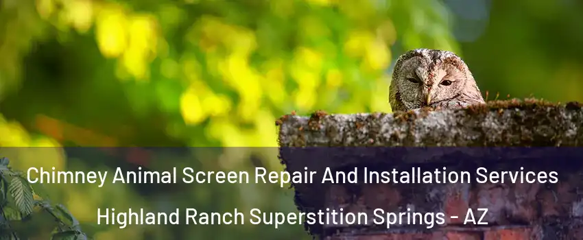 Chimney Animal Screen Repair And Installation Services Highland Ranch Superstition Springs - AZ