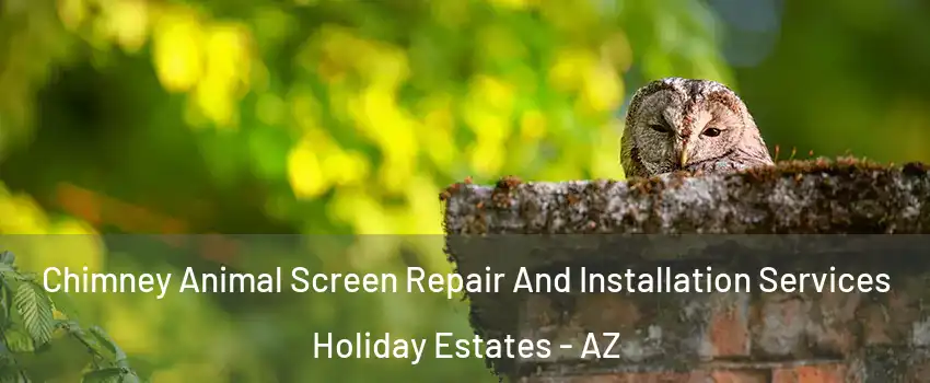 Chimney Animal Screen Repair And Installation Services Holiday Estates - AZ
