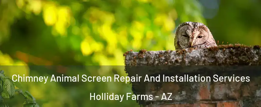 Chimney Animal Screen Repair And Installation Services Holliday Farms - AZ