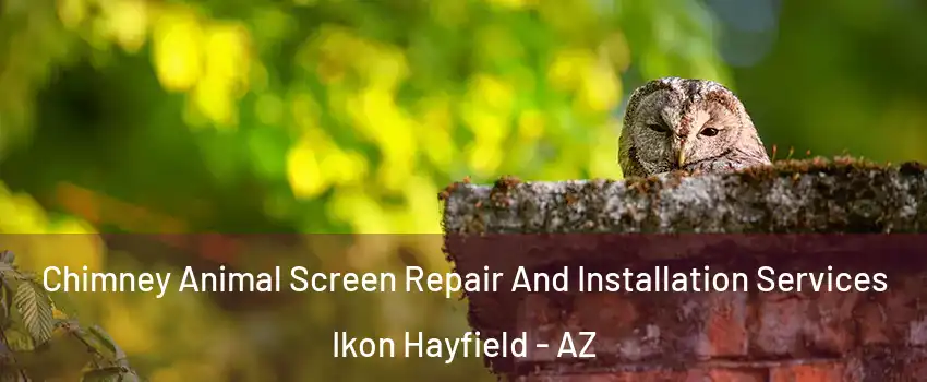 Chimney Animal Screen Repair And Installation Services Ikon Hayfield - AZ
