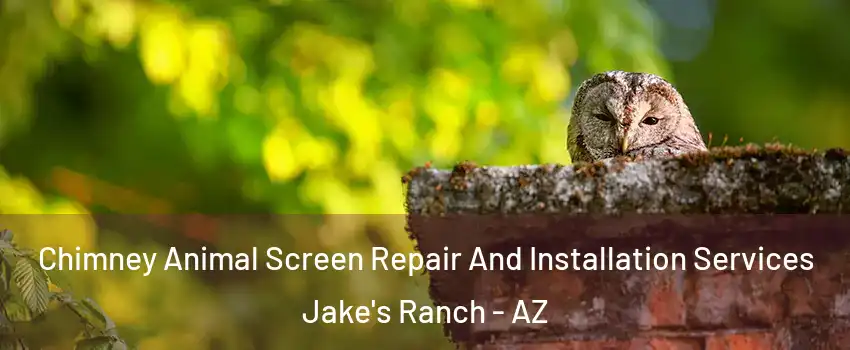 Chimney Animal Screen Repair And Installation Services Jake's Ranch - AZ
