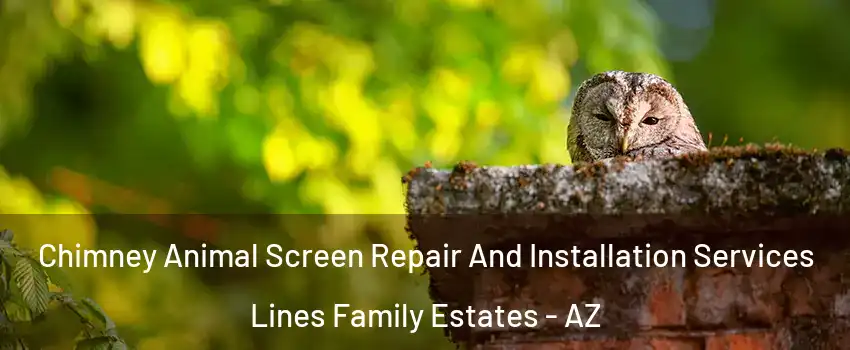 Chimney Animal Screen Repair And Installation Services Lines Family Estates - AZ