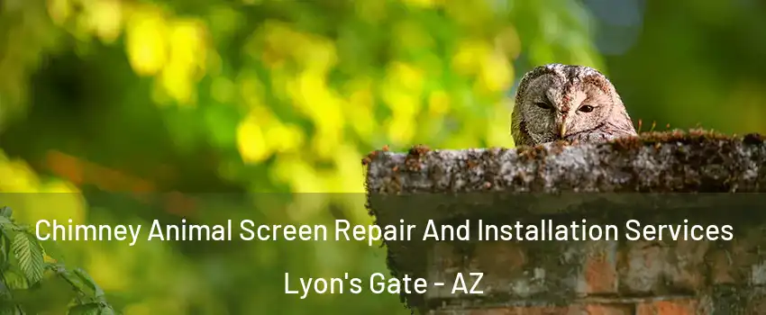 Chimney Animal Screen Repair And Installation Services Lyon's Gate - AZ