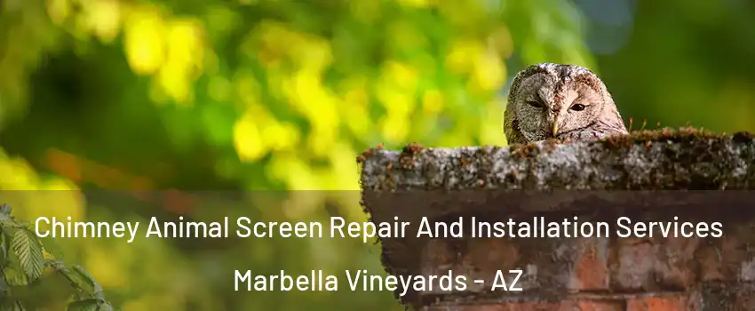 Chimney Animal Screen Repair And Installation Services Marbella Vineyards - AZ