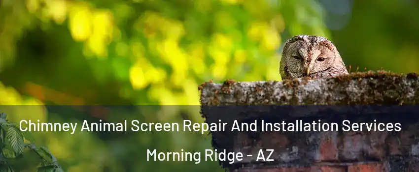 Chimney Animal Screen Repair And Installation Services Morning Ridge - AZ